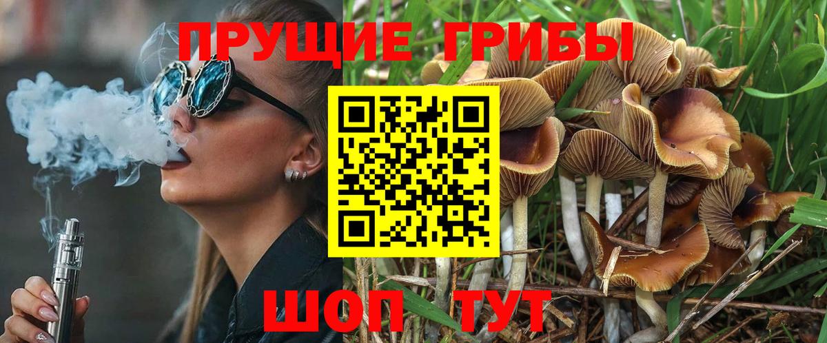 Коломна  Псилоцибиновые грибы Psilocybe  Вход с VPN 